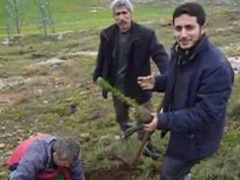 ANADOLU GENÇLİK BOZOVA Hatıra Ormanı