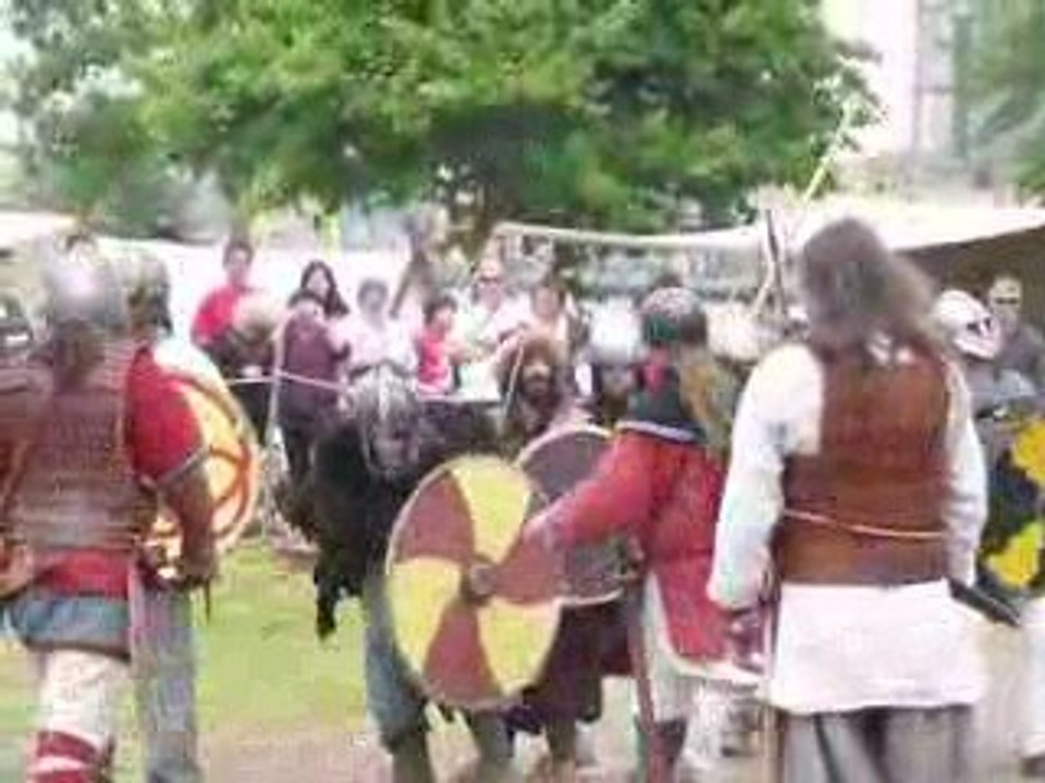 combat viking au village dreknor