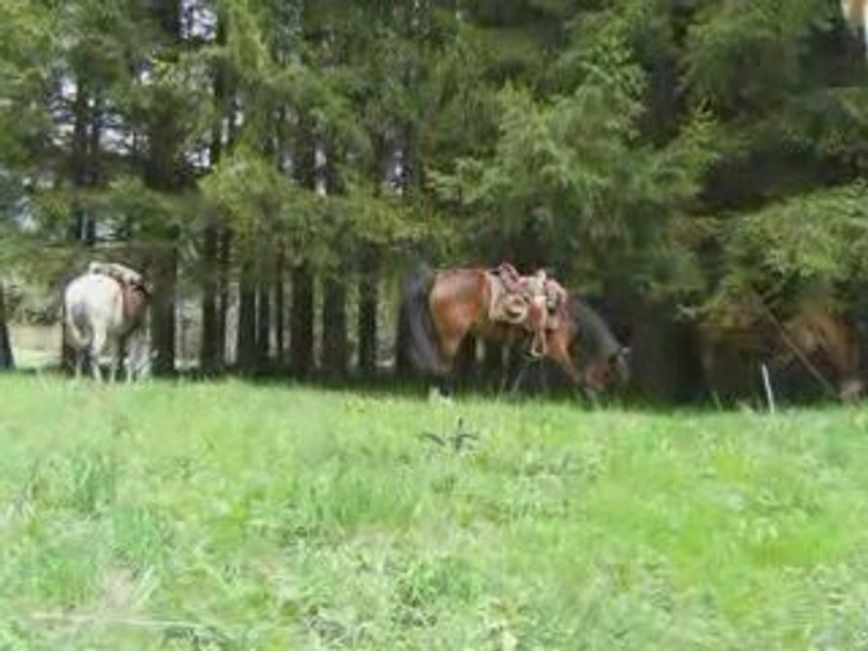 Les 4 montagnes - Vercors 3