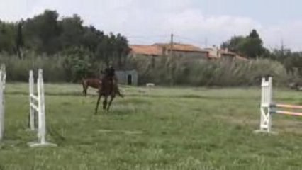 Polka par Valespoir Malabry, obstacles