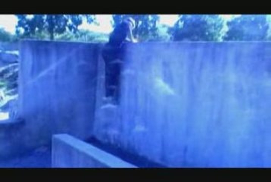 Free Run | 2fast 4 U