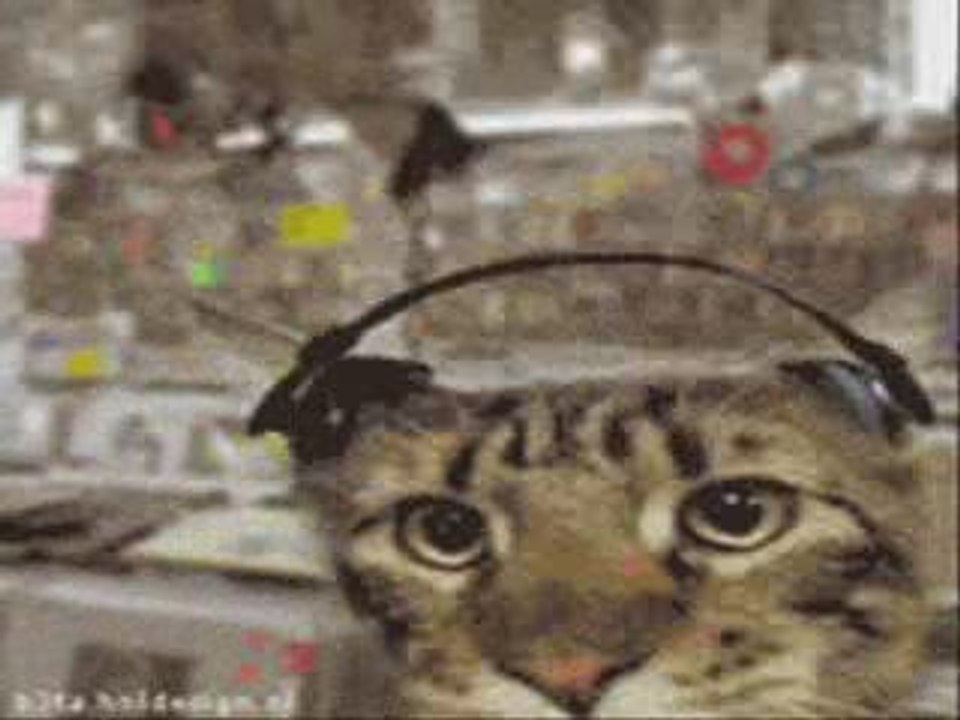 CHAT 01