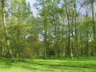 Arkadia-piękny romantyczny park koło Łowicza