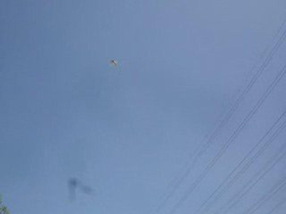 güvercin,takla,oyunlu,seferli,kuscuevren