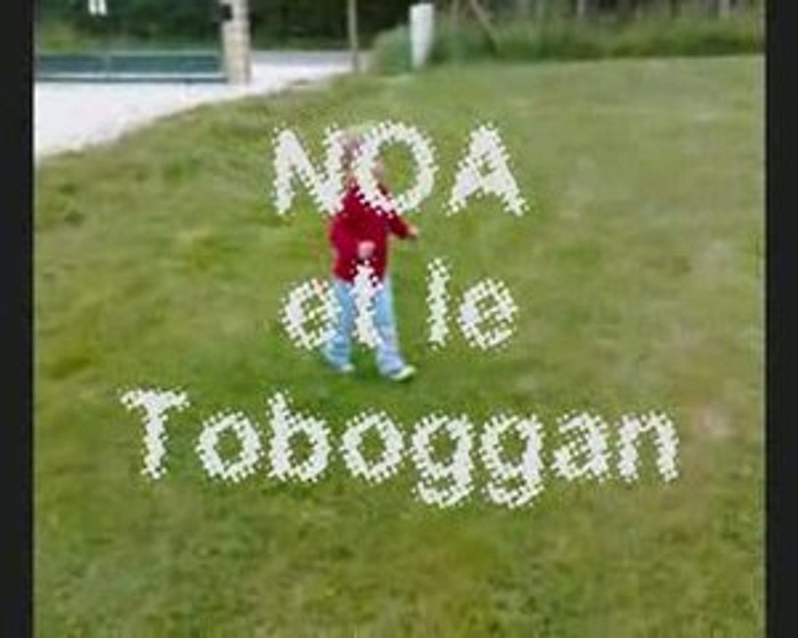 NOA ET LE TOBOGGAN