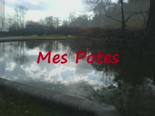 Mes potes