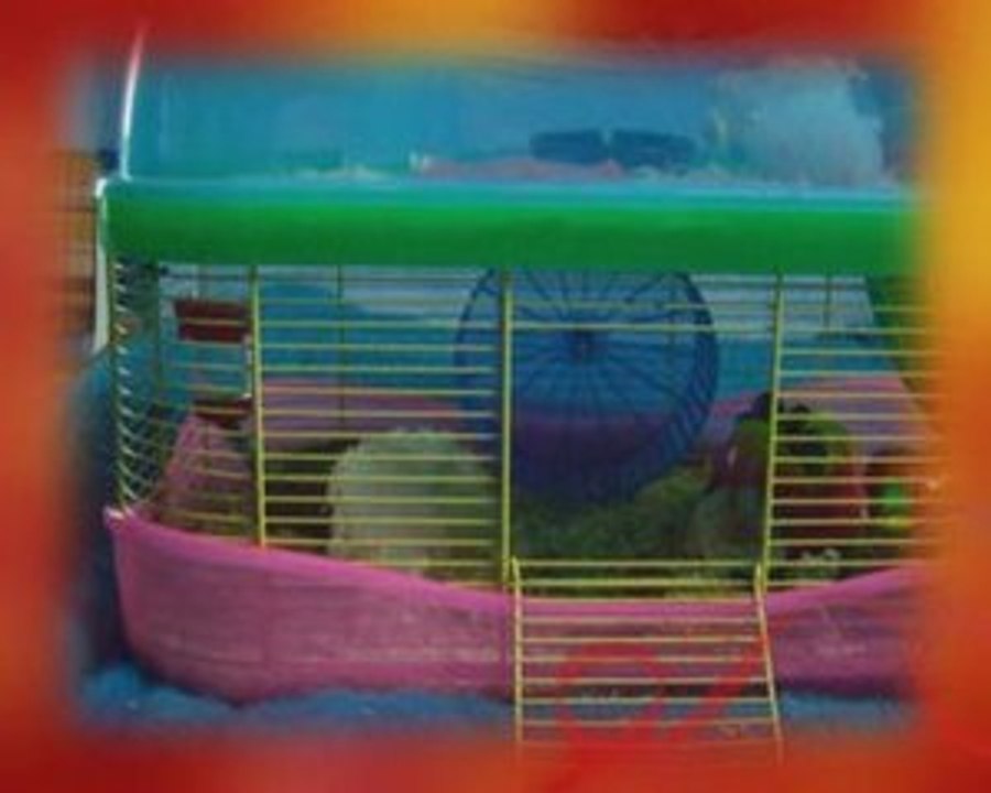 Oliver