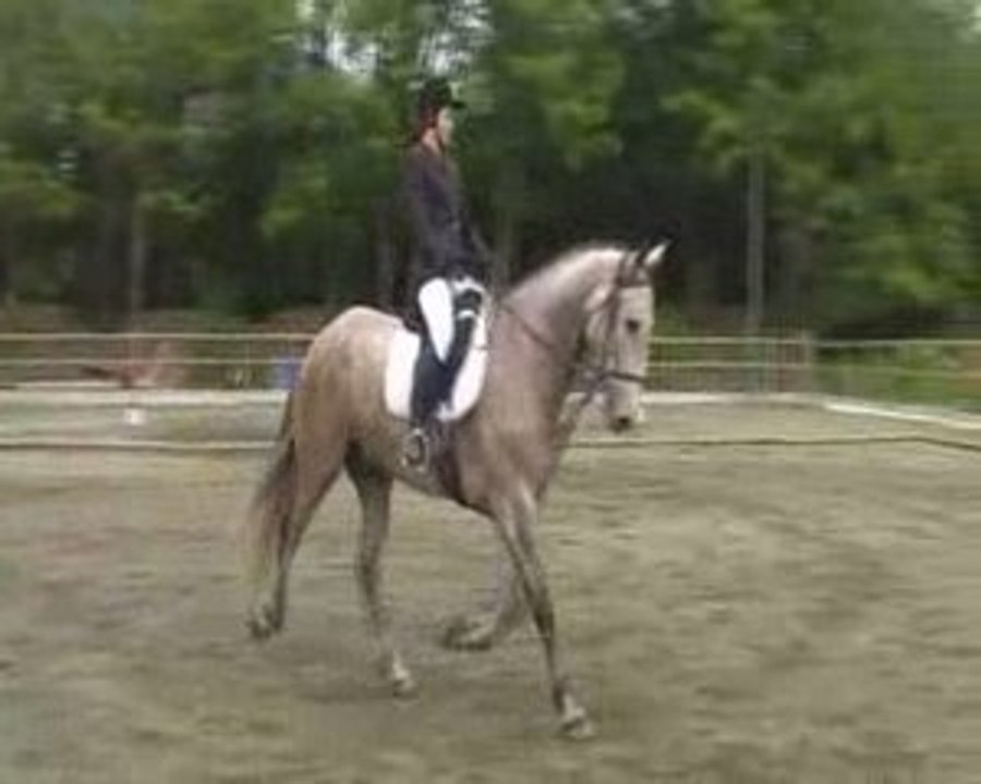 Presumido Clemence