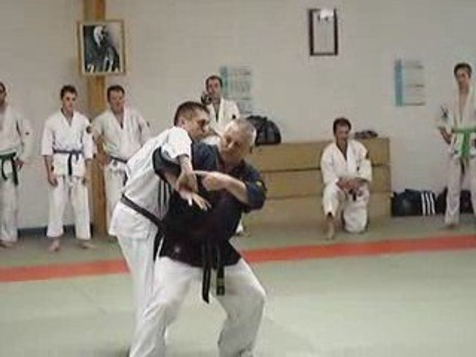 Nihon Tai Jitsu -Gusti - Soto Eri Jime