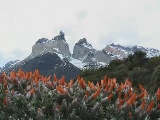 Torres del Paine
