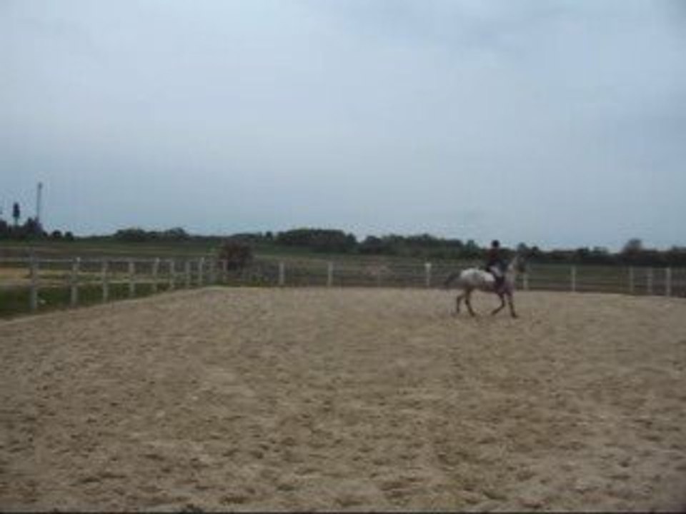 10-05-2009 trot
