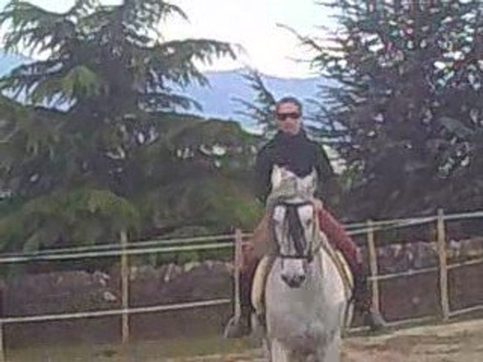 Caline pirouette galop