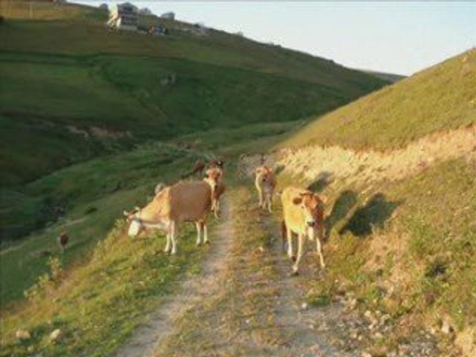 Ah Yaylalar Yaylalar