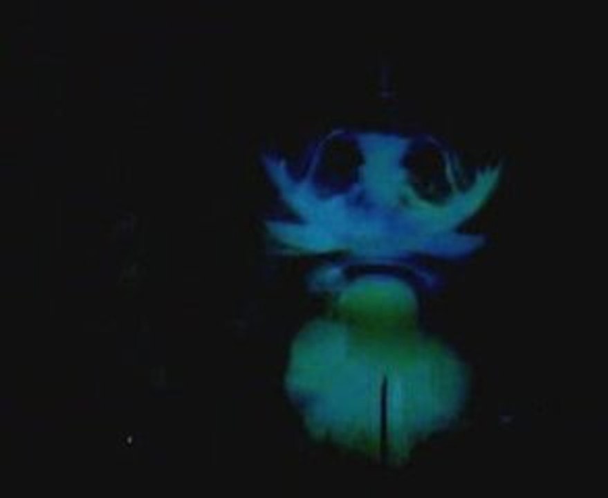 Thee majesty au centre pompidou 4 avril 2009