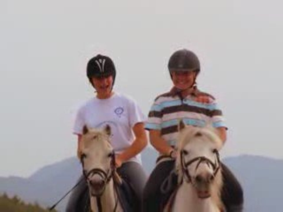 Jim& kiwi