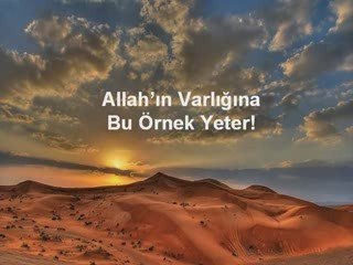 Allahin Varlıgina Bu Ornek Yeter!