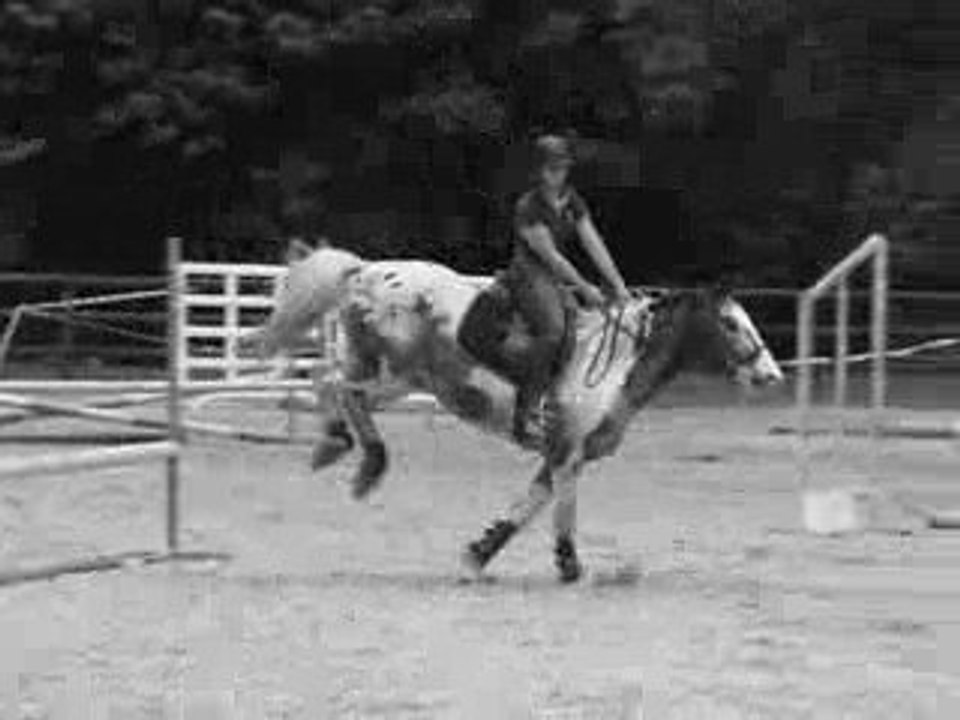 Concours pringy 70cm Malcom