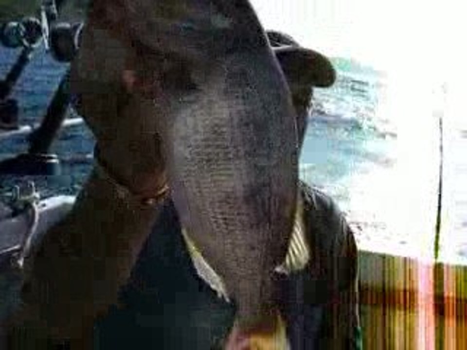 Sinarit avı konuşması DSCN2977