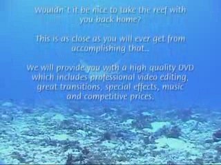 Dive Palancar Cozumel Mexico