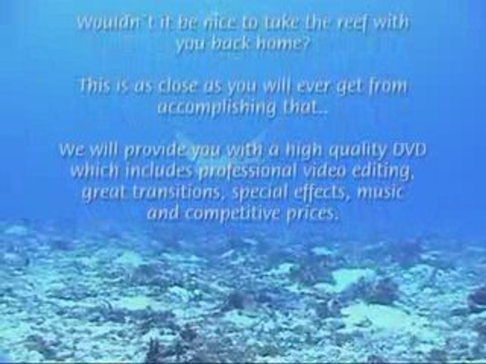 Dive Palancar Cozumel Mexico