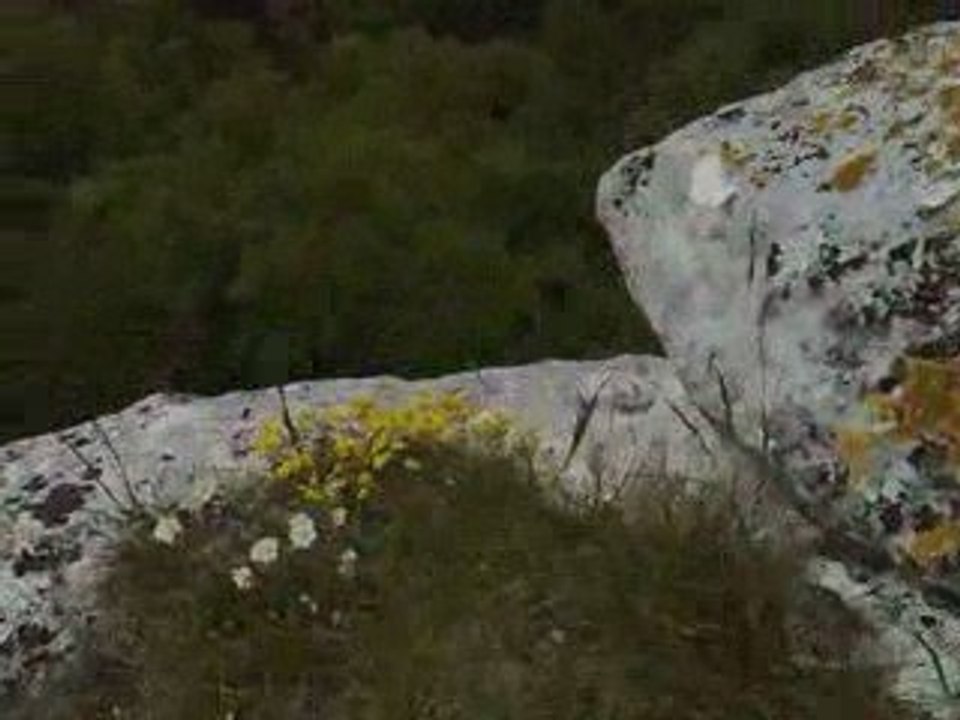 VERTIGE