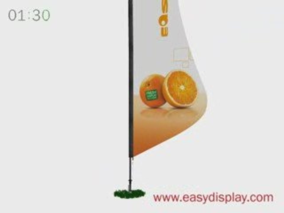 Günstige Sportfahne Sportflagge