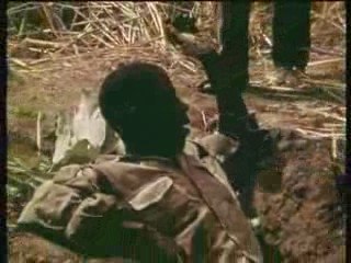 Chasse au serpent au Cameroun