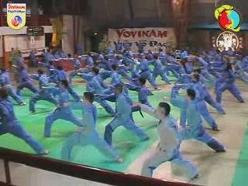 GRT – Toulouse – 10 Mai 2009 - Démo Khai mon Quyen