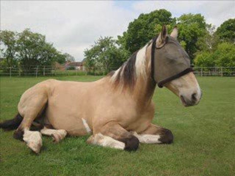 Siestes avec mon coeur