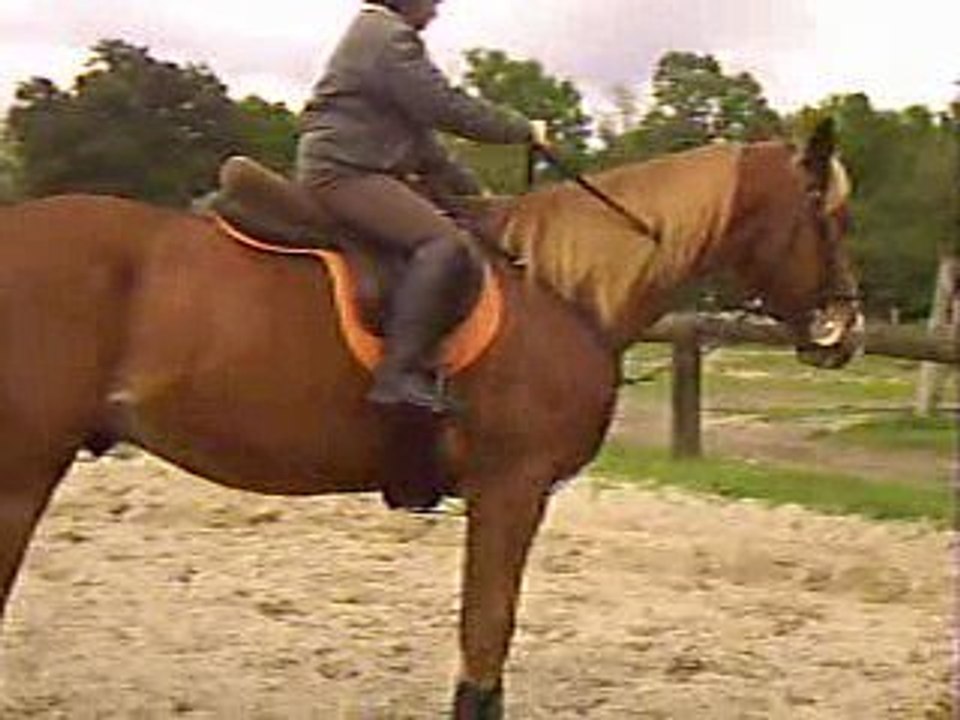 Jambette