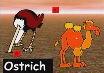 ESL kids lesson, zoo animals