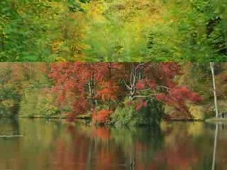 Automne 2008