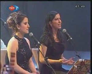 Vildan Turan Mendilimin yesili