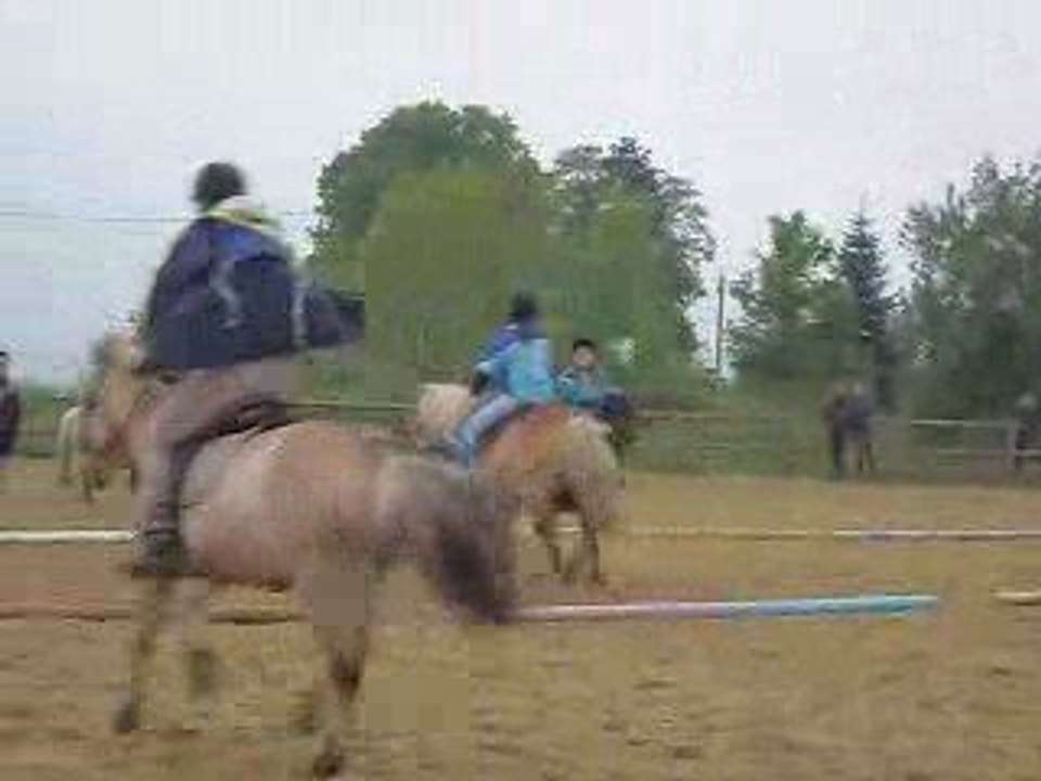 Slalom le 8 mai  2009 pony games