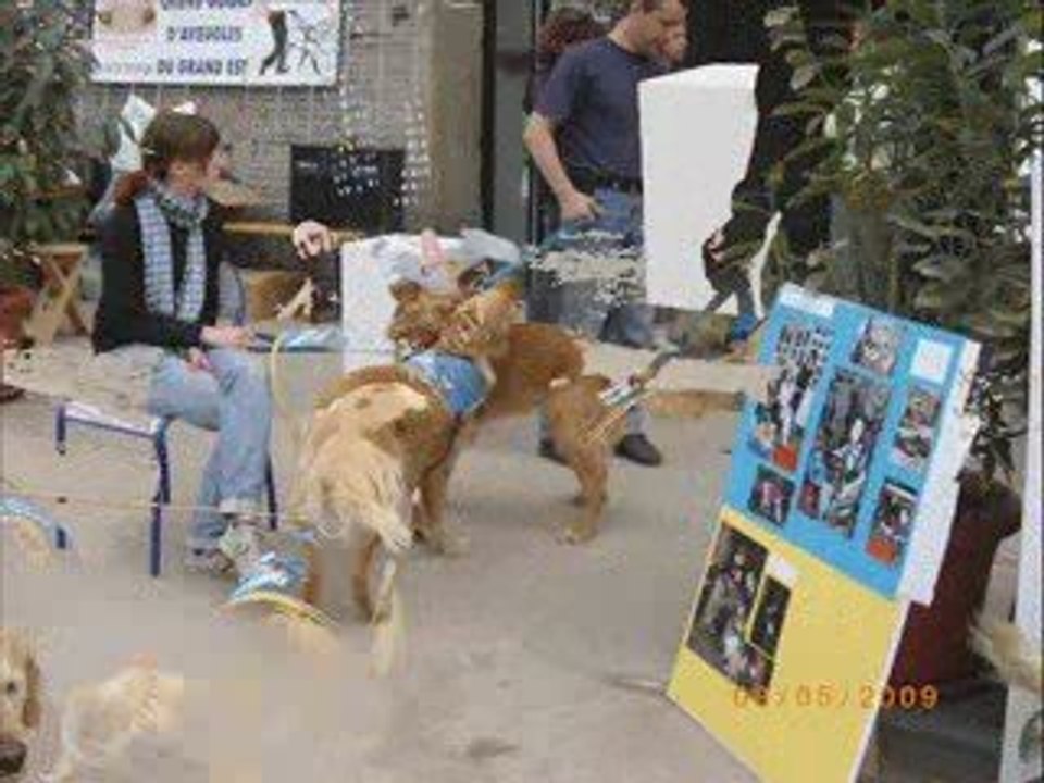 Championa de troupaux