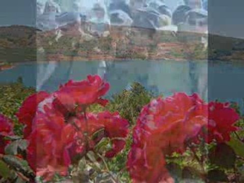 نزلوا القسامية - مرئية القسام