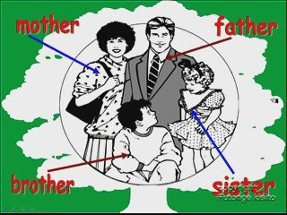 ESL Family Tree Lesson 🌳