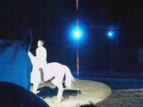 Grand spectacle équestre nocturne avec Jean-François Pignon