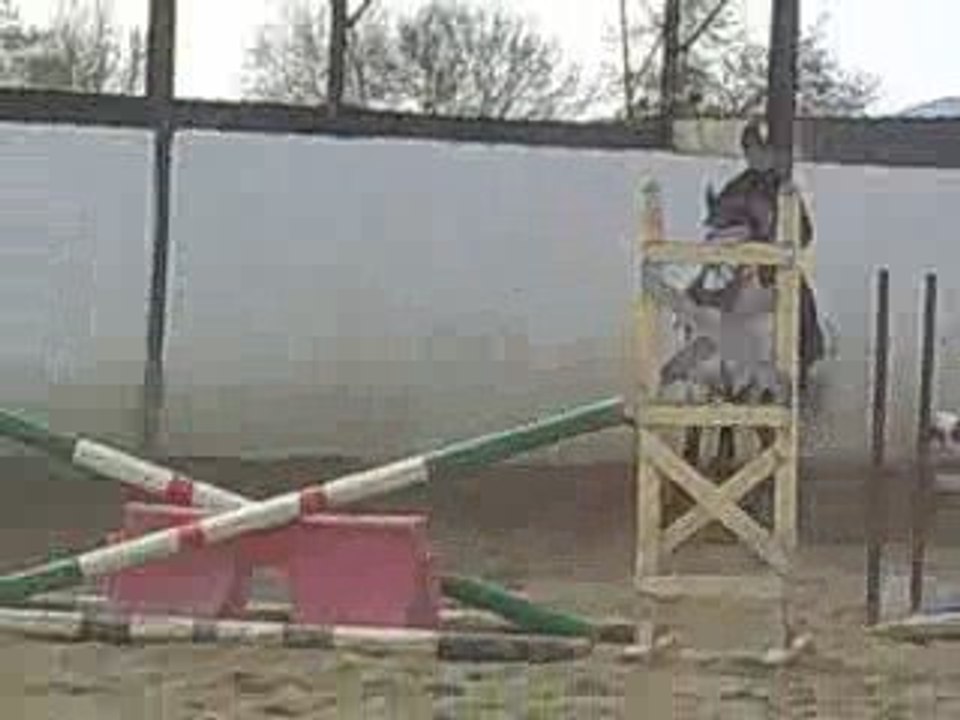 Obstacle playboy chez jean2