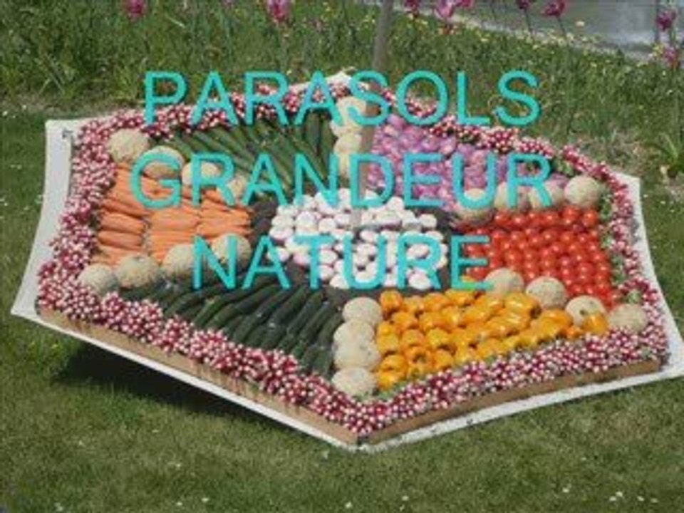Les floralies internationales