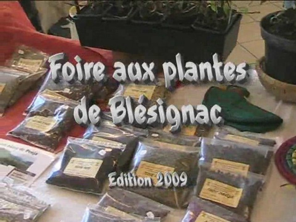 Le jardin extraordinaire de Blésignac