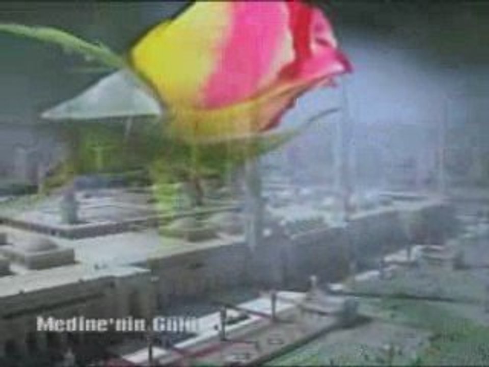 Medine'nin Gülü