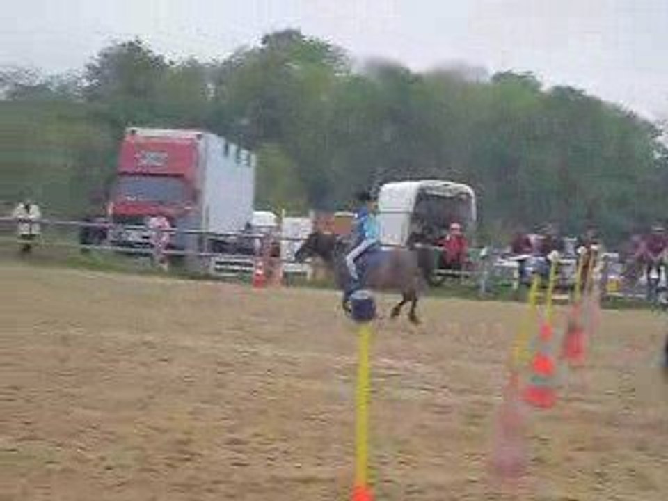 5 drapeaux le 8 mai 2009 pony games