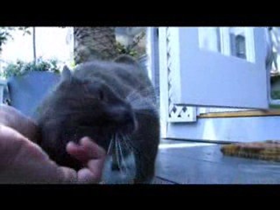 Owain Yeoman Interview