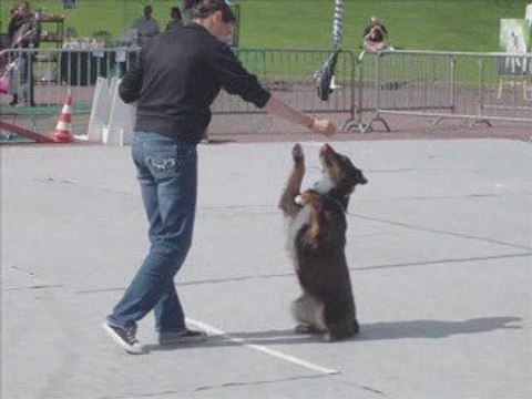 Démo d'Obé Rythmée à St Lô