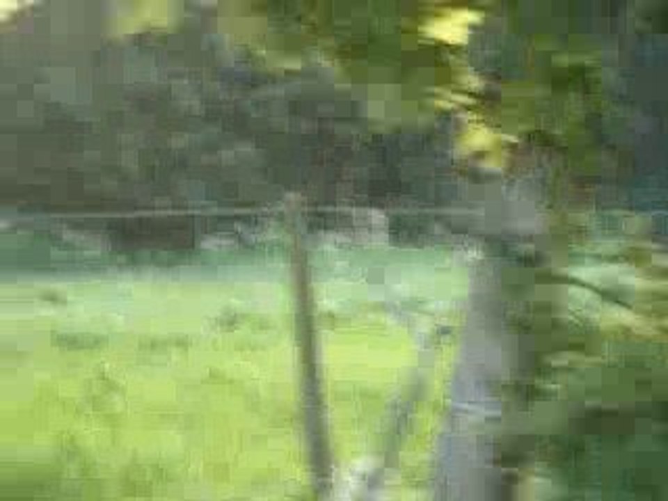 Clio r3 les menils 2009