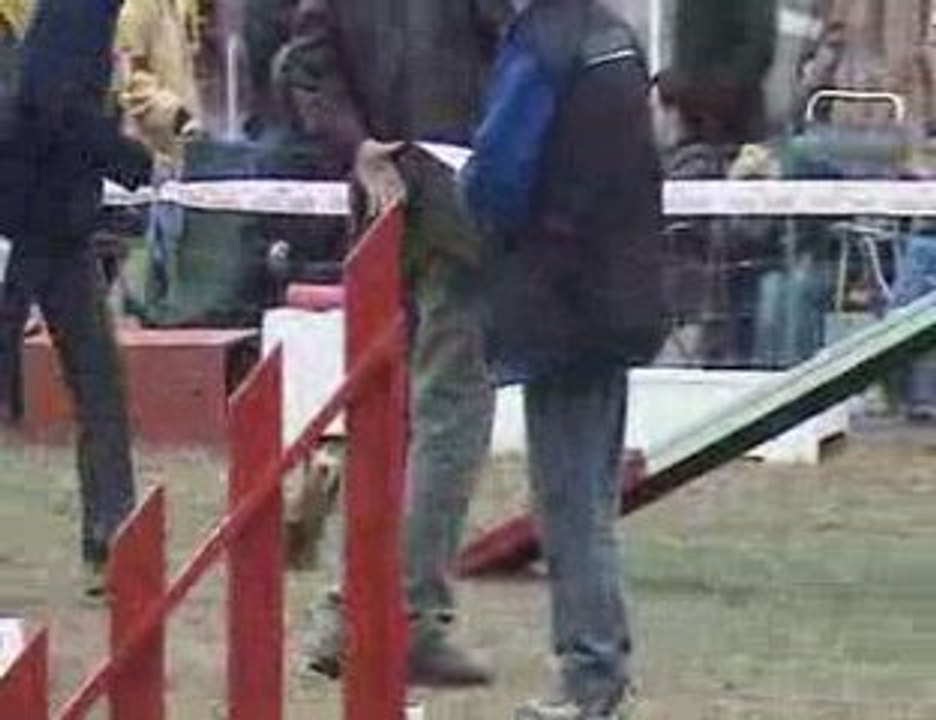 Oska 2 carsan 2006