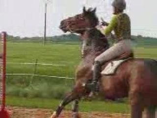 Mireille mimi puissance