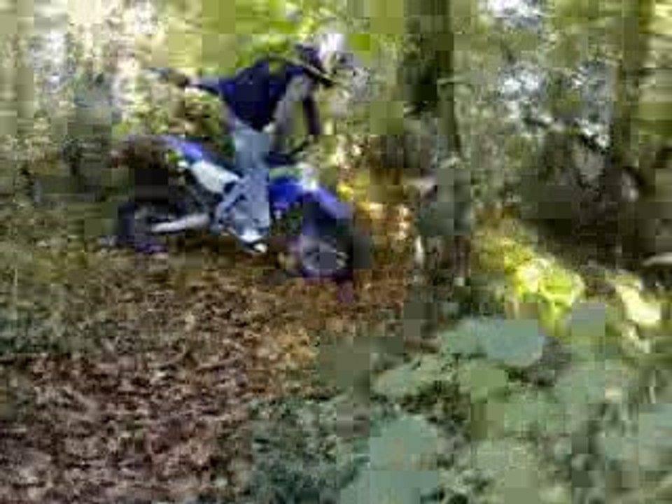 regis en dirt dans les bois