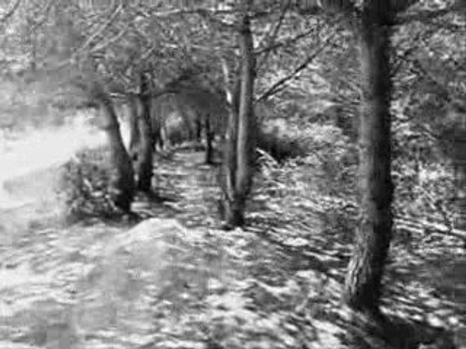 Avance aitor 09, always biker